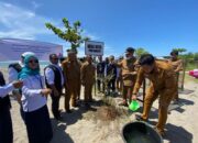 Penghijauan Tahun Lalu Sukses, PLN Kembali Hijaukan Pantai Maruf Amin Pariaman dengan 750 Bibit Ketapang Kencana