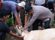 Pemkab Agam Siapkan 300 Kilogram Paket Rendang untuk Dikirim ke Cianjur
