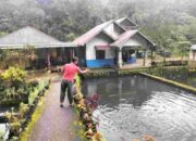 Babinsa Koramil 05/X Koto Motivasi Warga Jorong Aia Mancua Ternak Ikan Nila