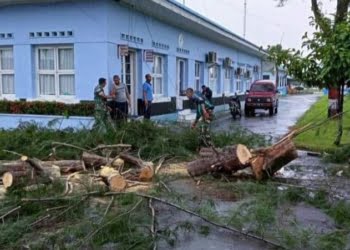 Kota Padang Dihantam Hujan Badai, Sejumlah Pohon Tumbang