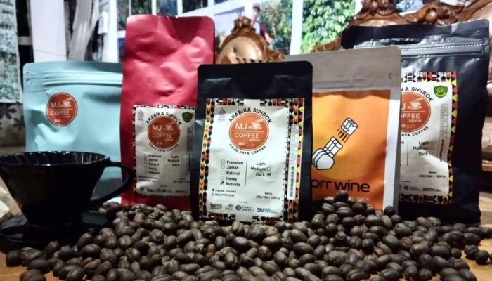 Aroma Green Bean Kopi Sipirok Binaan PLN di Tapanuli Selatan Tembus Pasar Internasional