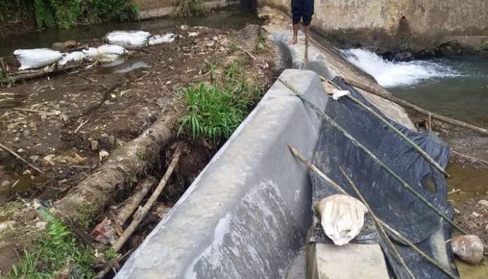 Irigasi Sawah Liek Berfungsi Kembali, 59 Hektare Sawah dapat Ditanami Padi