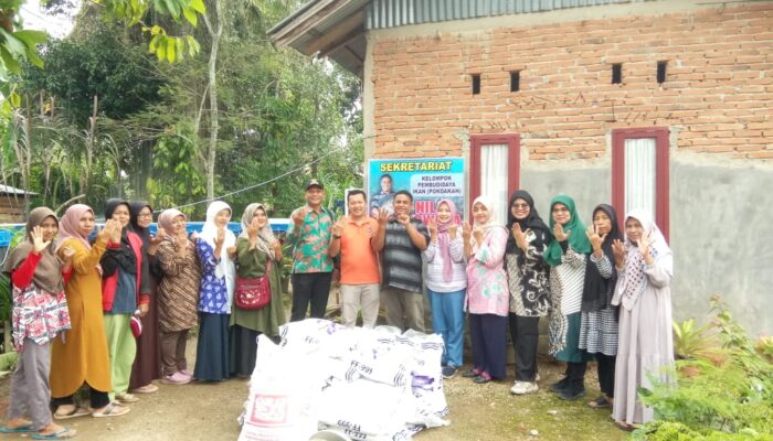 Melalui Pokir Anggota DPRD, Dinas Perikanan Lima Puluh Kota Serahkan Bantuan Bibit dan Pakan Ikan Nila ke Pokdakan Nirwana Batu Balang