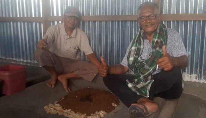 Manfaatkan Limbah Organik Sekitar Maninjau, Kelompok Alam Lestari Membudidayakan Maggot