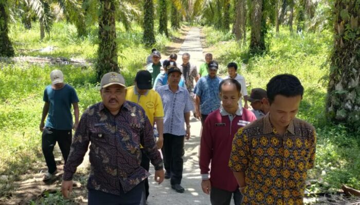Profil Rabi Jonggor, Nagari Pariwisata “Sejuta Pesona” di Ujung Utara Sumatera Barat