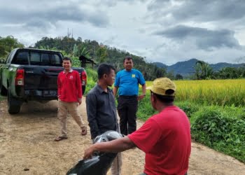 PLN Kabulkan Penantian Lama Petani Limapuluh Kota, Kini Akses Jalan Mereka Sudah Dirabat Beton