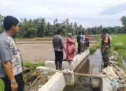 Sumber Air Sawah Petani Terjawab, Kini Kampung Dama Lareh Nan Panjang Selatan Miliki Irigasi Tersier