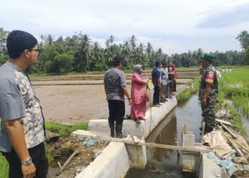 Sumber Air Sawah Petani Terjawab, Kini Kampung Dama Lareh Nan Panjang Selatan Miliki Irigasi Tersier
