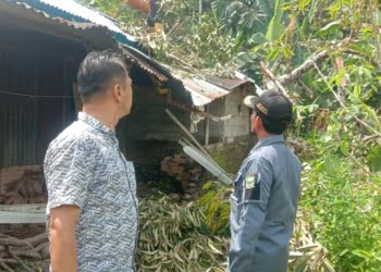 Musibah di Pagi Buta, Rumah Yusnimar Ambruk Ditimpa Pohon Durian Besar