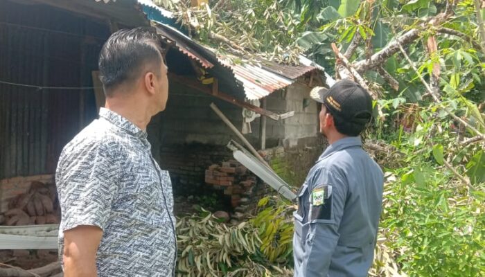 Musibah di Pagi Buta, Rumah Yusnimar Ambruk Ditimpa Pohon Durian Besar