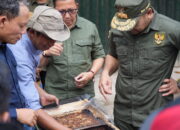 600 Bibit Pohon Jengkol Ditanam di Hutan Bonjol Pasaman