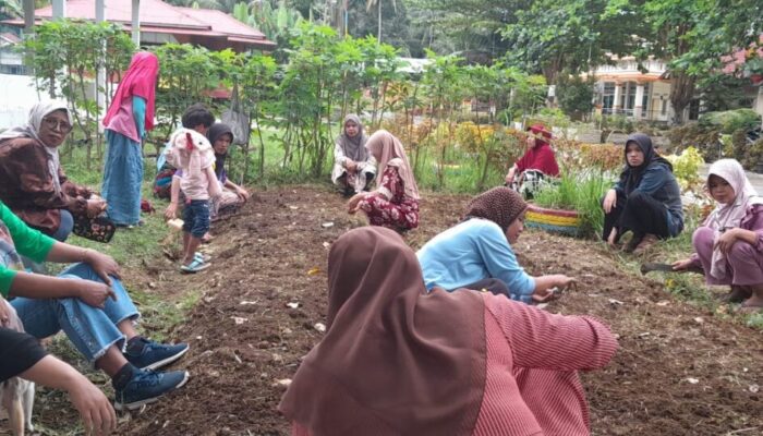 Setiap Minggu KWT WSTIM Goro, Syawirman: Manfaatkan Bantuan Tingkatkan Ekonomi Keluarga