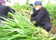 Bio Farma Bina Peternak Milenial di Jawa Barat