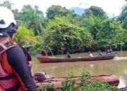 Potongan Tubuh Ditemukan, Pencari Lokan Diduga Diterkam Buaya di Sungai Mandiangin