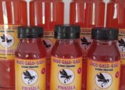 Words of Mouth, Strategi Jitu Promosikan Madu Galo Galo “PHASILA” Asli dari Nagari Pasie Laweh