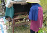 Tingkatkan Perekonomian Masyarakat, Agam Kembali Gelar Lomba TTG Tahun 2023