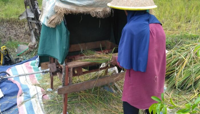 Tingkatkan Perekonomian Masyarakat, Agam Kembali Gelar Lomba TTG Tahun 2023