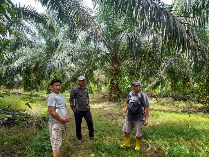 Nagari Lubuk Malako