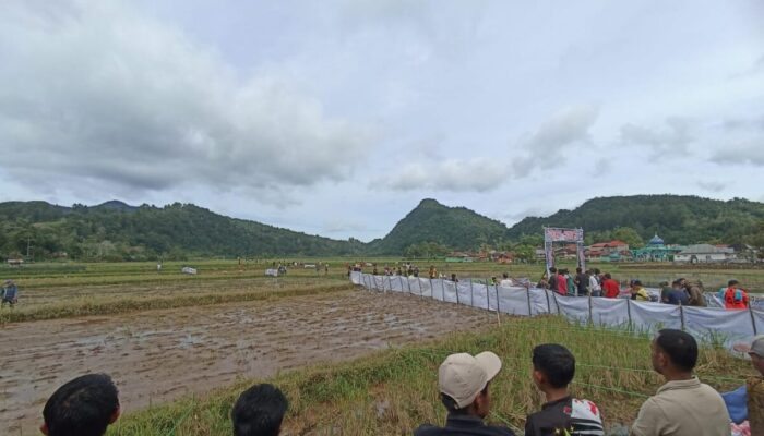 Bupati Agam Canangan Buru Babi Masuk Kalender Iven Tahunan