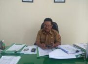 Produksi Jagung di Kabupaten Agam Berkurang