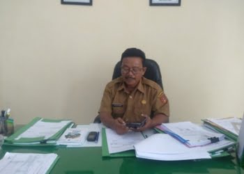 Produksi Jagung di Kabupaten Agam Berkurang