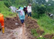 Hujan Lebat Guyur Tanah Datar, Nagari Singgalang Lokasi Terparah Dampak Longsor
