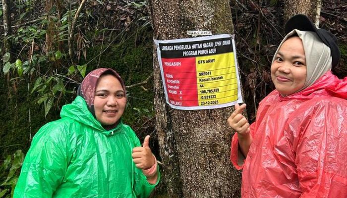 Viral di Medsos, Pohon Asuh Nagari Sirukam Kini Banyak Dikunjungi Masyarakat