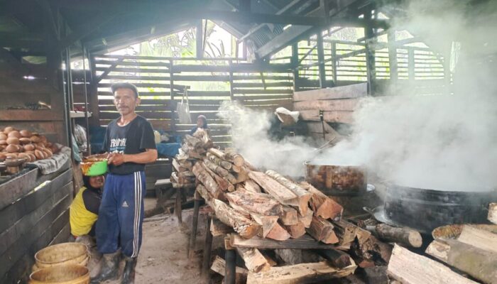 Curah Hujan Tinggi, Produksi Niro Aren di Jorong Pato Menurun