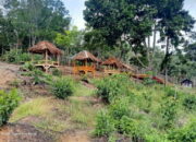 Destinasi Wisata Puncak Grand Hexagon Panyakalan Menuai Polemik