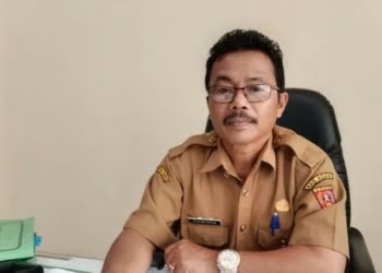 Sejak Awal 2023, Tercatat 451 Ekor Sapi Lahir di Agam