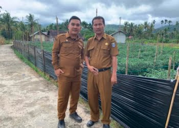 Empat BUMNag di Pasbar Tidak Aktif