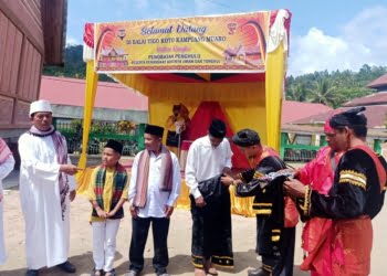 Delapan Datuak di Lima Puluh Kota, Jalani Proses Pemuntingan Sebelum Baralek Penghulu