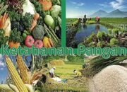 Jaga Ketahanan Pangan, Tiap Hari Pemko Padang Cek Harga Kebutuhan Pokok