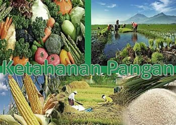 Ketahanan Pangan