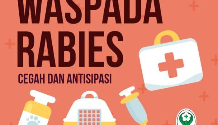 38 Kasus Gigitan Hewan Rabies Selama 2022 di Padang
