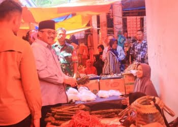 Bupati Benny Utama Tinjau Kondisi Warga Pasaman