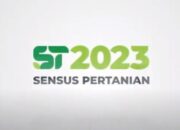 BPS Solok Selatan Matangkan Kesiapan Jelang Pelaksanaan Sensus Pertanian 2023
