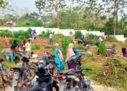 Jelang Ramadan,  Ratusan Warga Padang Sibusuk Goro Bersihkan Pandam Perkuburan
