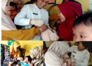 Beri Imunisasi, Puskesmas Batu Basa kecamatan IV koto Aur Malintang Gelar Aksi Turun ke Posyandu