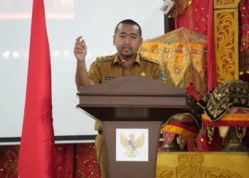 Wagub Audy Joinaldy: Selama 2022,  Pemprov Sumbar Ciptakan 329 Inovasi