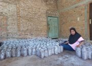 Jamur Tiram Nagari Lareh Nan Panjang, Memiliki Potensi Meningkatkan Perekonomian
