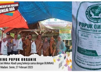 Nagari Sungai Aua Madani