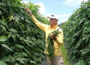 Wakapolres Payakumbuh Kompol Russirwan Tak Gengsi “Nyambi” Jadi Petani