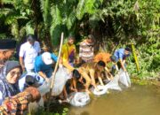 Nagari Kuranji Hulu Tebar Benih Ribuan Ikan Gariang dan Nila