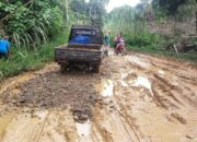 Masyarakat Keluhkan Jalan di Nagari Galugua Rusak Parah