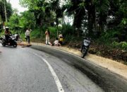 Tumpahan Solar di Kelok Kajai Korong Kampung Pinang Nagari III Koto Aur Malintang Makan Korban