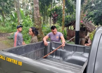 Kasus Gadis Tewas Ditembak di Sawah Terungkap, Ini Alasan Pelaku Menembak Korban!