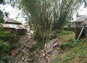 Segmen Sianok Bergerak, Kota Bukittinggi Siaga Hadang Gempa