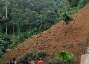 Sawahlunto Dilanda Longsor, Tiga Unit Alat Berat Diterjunkan