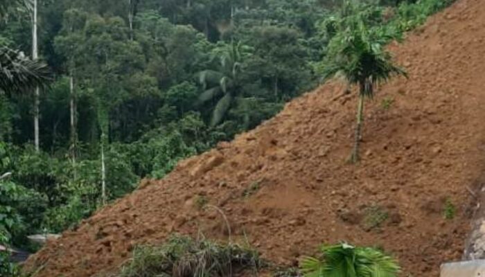 Sawahlunto Dilanda Longsor, Tiga Unit Alat Berat Diterjunkan